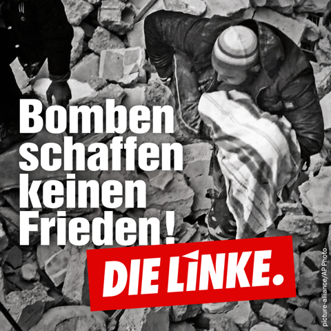 620018_LinkePV_Facebook_Syrien